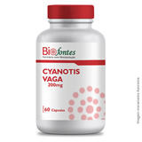 Imagem de Cyanotis Vaga 200mg 60 Cápsulas
