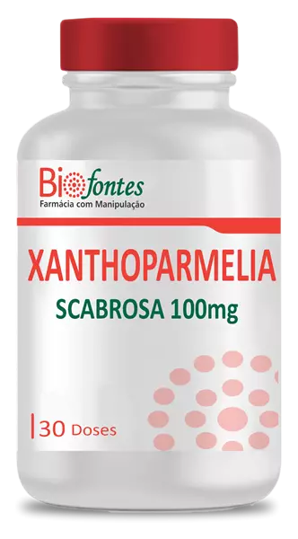 Imagem de Xanthoparmelia Scabrosa