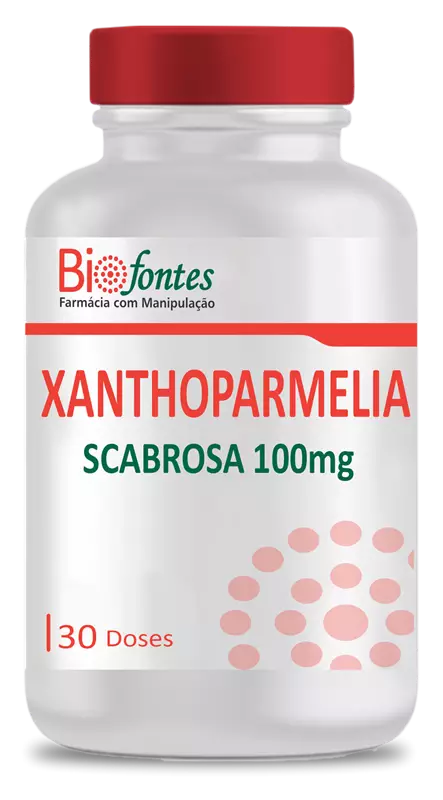 Xanthoparmelia Scabrosa